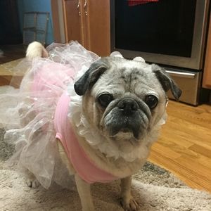 Meet your Posher, Lauri